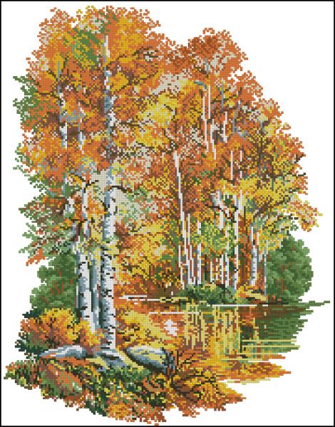 CMP 320968 Pattern