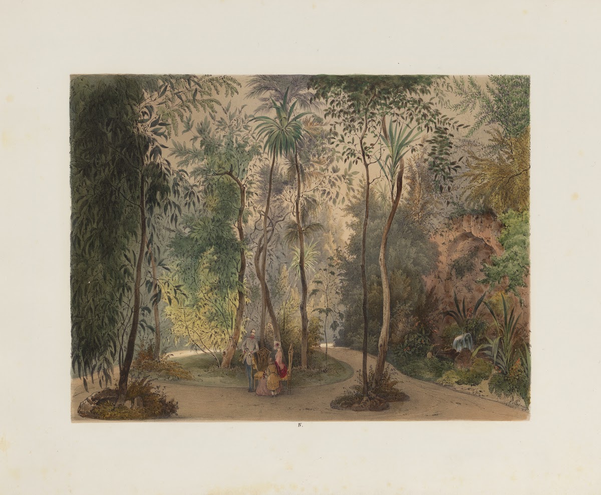 Der Wintergarten in der kaiserlichen königlichen Hofburg zu Wien Pl04 1852