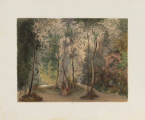 Der Wintergarten in der kaiserlichen königlichen Hofburg zu Wien Pl04 1852