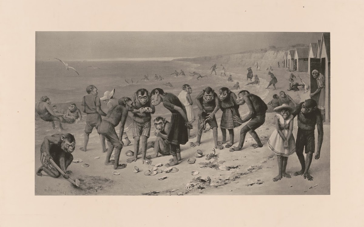 Pre historic Newport 1889