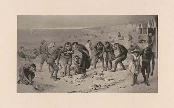 Pre historic Newport 1889