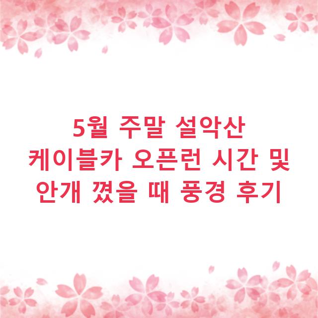 5월 주말 설악산 케이블카 오픈런 시간 및 안개 꼈을 때 풍경 후기