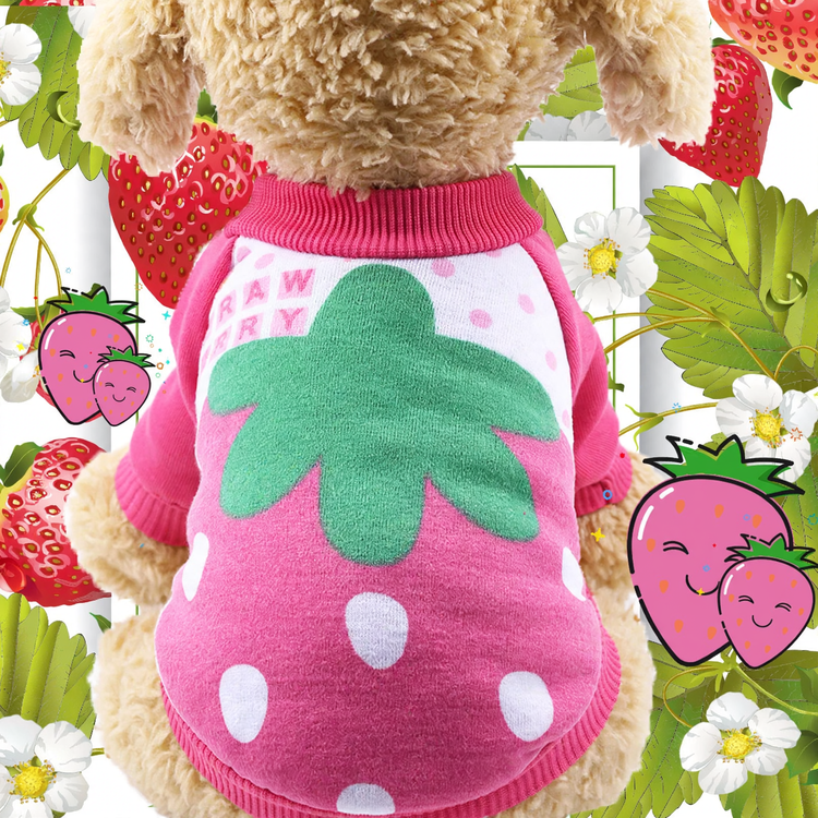 Fleece Sweater for Dogs – Autumn and Winter