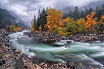 River Nature Wallpaper