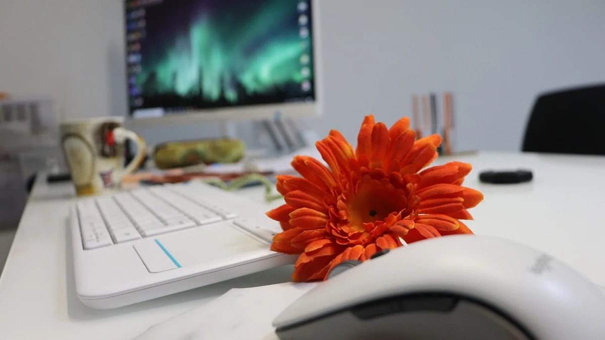 재택근무자를 위한 데이터 요금제 비교와 통신비 절약법