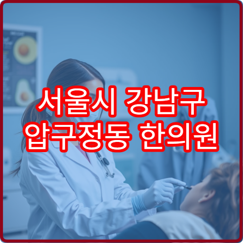 서울시 강남구 압구정동 한의원 야간진료 한방병원
