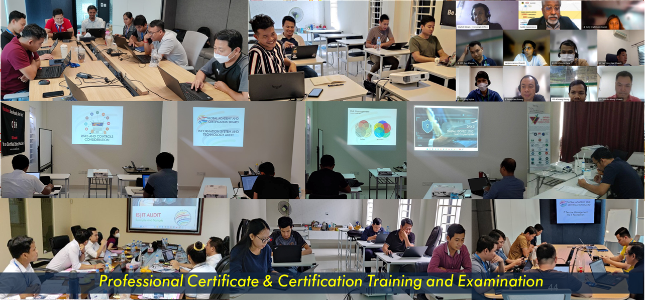 Professional and Certified Trainings