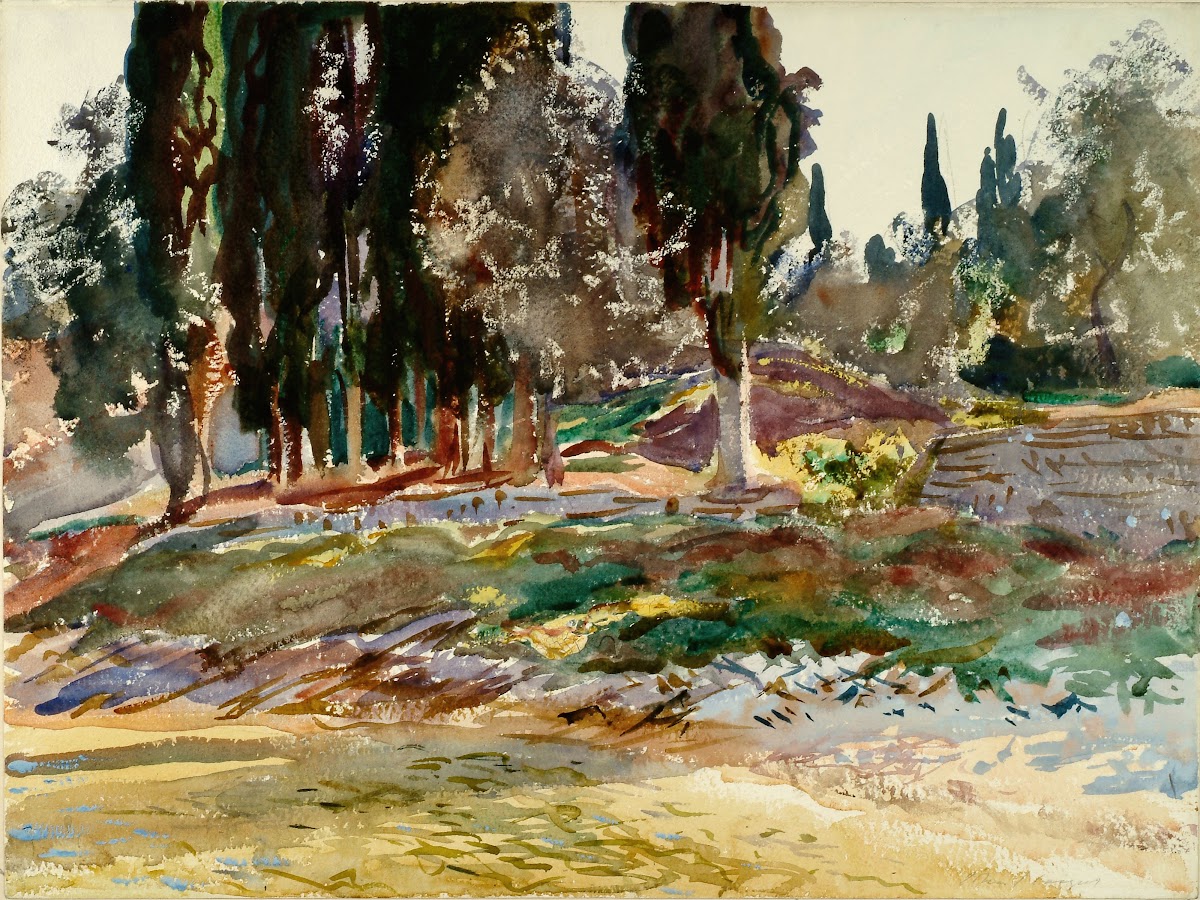 Cypress Trees at San Vigilio Lake Garda between 1856 and 1925