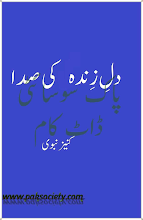 dil e zinda ki sada By Kaneez Nabvi PDF