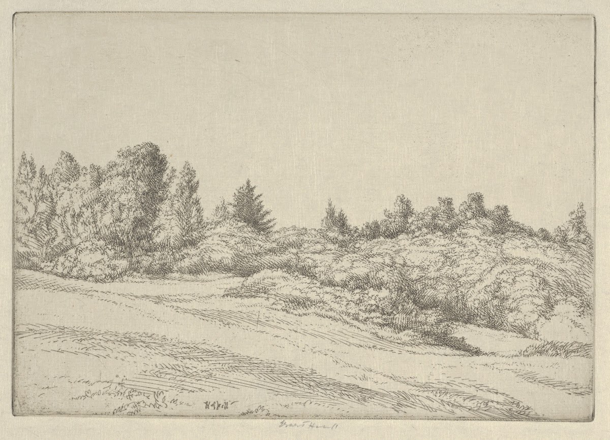 Small Point Field 1900 1925