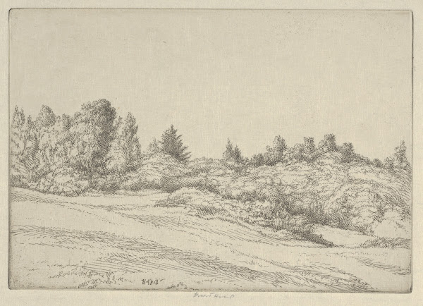 Small Point Field 1900 1925