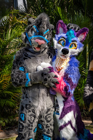 furdu-04017.jpg