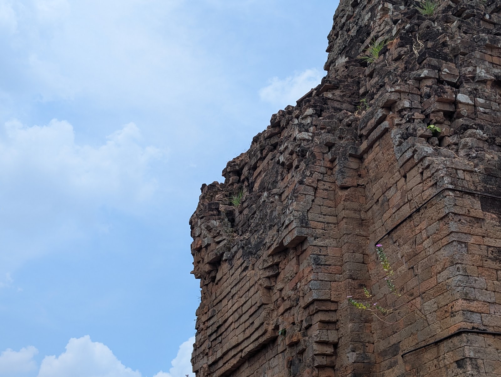 A close up of one of the walls of the temple ruins where some
                 purple flowers can be seen growing from the side of the wall