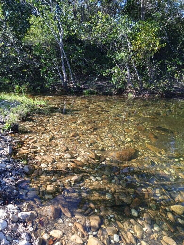 Chácara em Teresina de Goiás - GO 7
