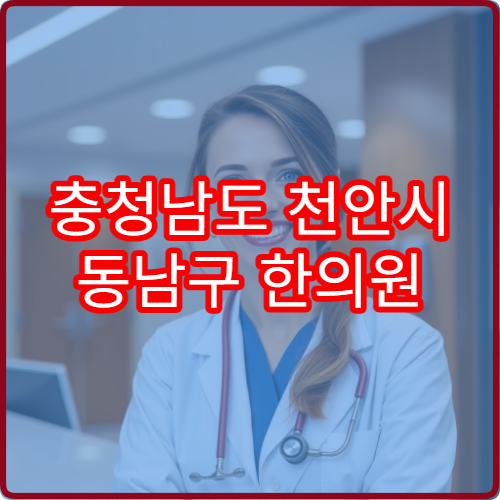 충청남도 천안시 동남구 한의원 설날 연휴 한방진료 가능한 병원 안내