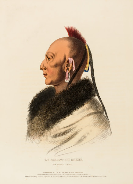 Le Soldat Du Chene An Osage Chief 1838