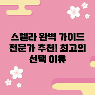 시마노22스텔라 추천, 최신 낚시 장비, 겨울 낚시 필수품, 전문가 리뷰, 시마노 스텔라 장점