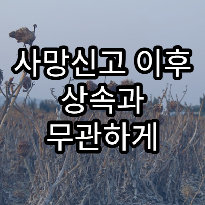 사망신고 이후 상속과 무관하게 꼭 처리해야 할 행정 업무