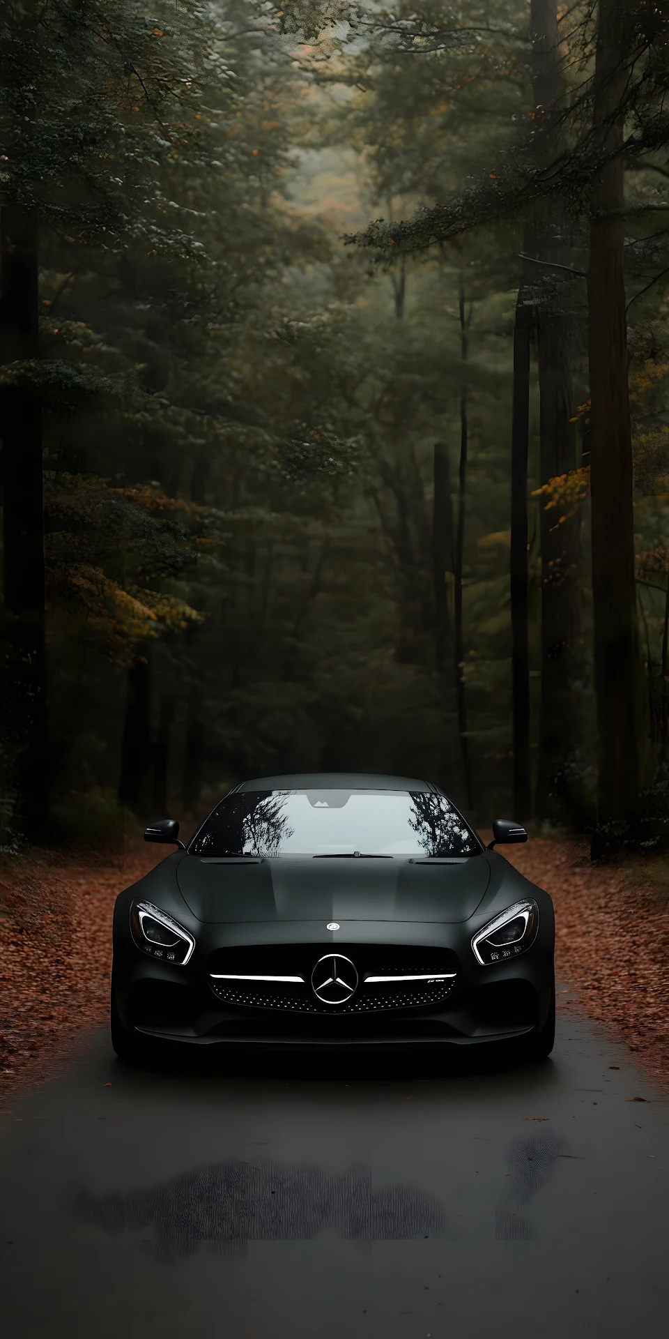 Matte Black Sports Car in Dark Forest - Free 4K mobile Wallpaper