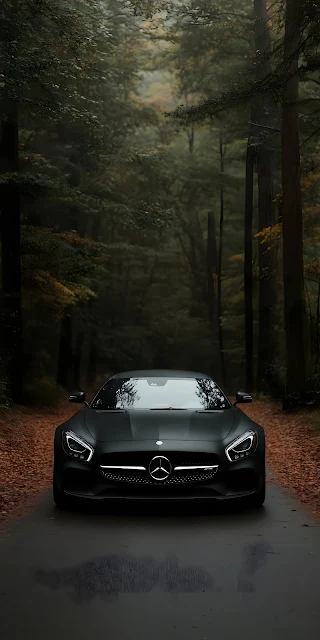 Matte Black Sports Car in Dark Forest