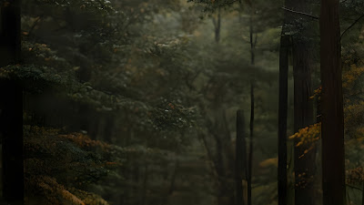 Matte Black Sports Car in Dark Forest