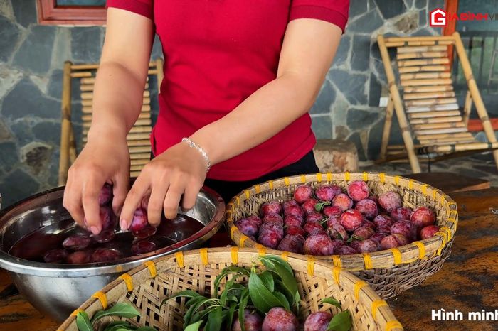 Loại quả mùa hè chống oxy hóa, làm đẹp da - Chuyên trang Tiêu Dùng - Tạp chí Gia Đình Việt Nam