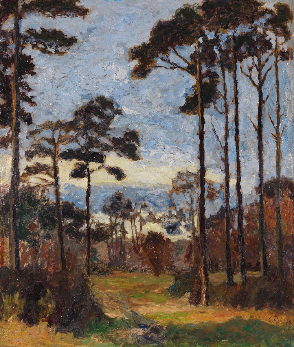 Kiefern auf dem Ettersberg 1899