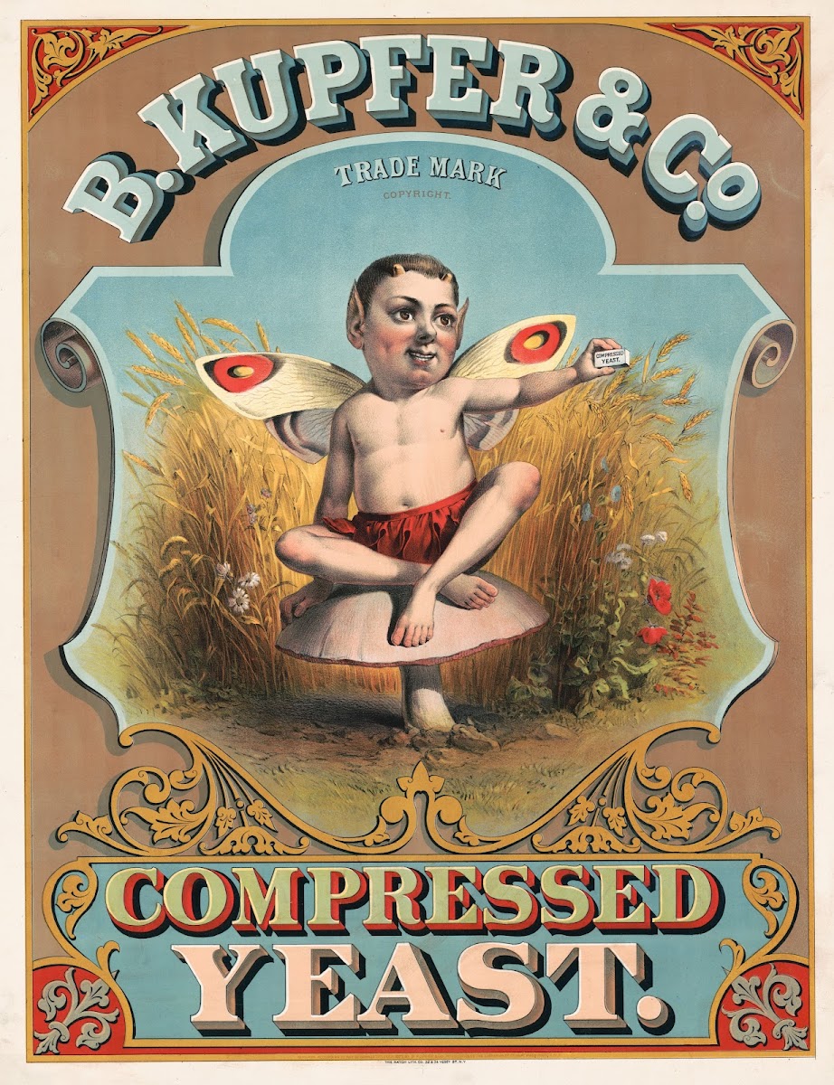 B Kupfer  Co compressed yeast 1877