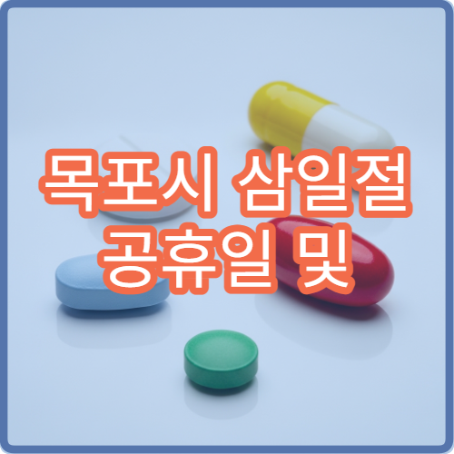 목포시 삼일절 공휴일 및 대체공휴일 진료하는 병원 찾기｜야간 문 여는 당번(당직) 병원 안내
