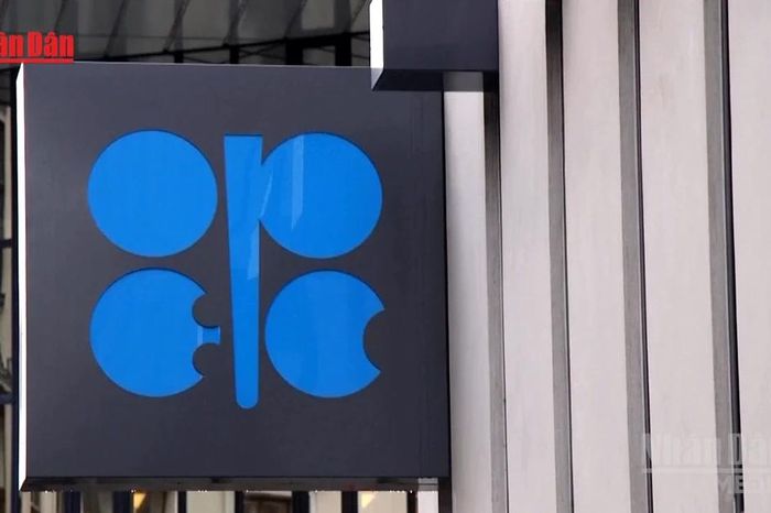 [Video] OPEC+ dự kiến tăng nhẹ sản lượng dầu sau khi UAE rời nhóm - Báo Nhân Dân