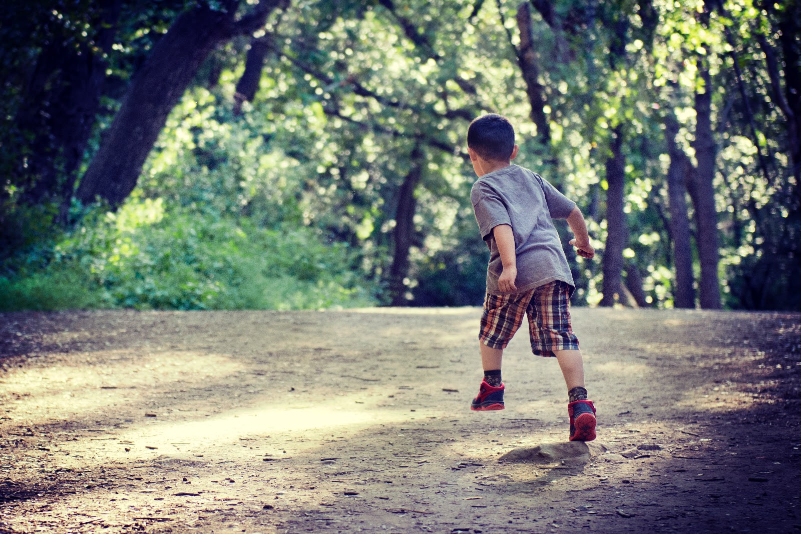 Research has proven that nature improves children’s mood, lowers their stress levels, and replenishes their mental energy. Children time spent nature, children development through nature. CarbonEthics Indonesia