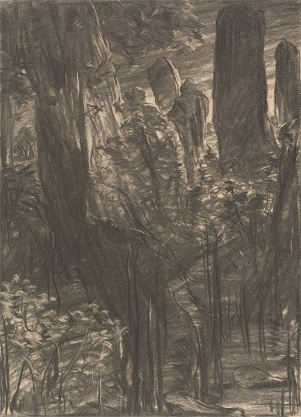 A Grove of Trees 1866