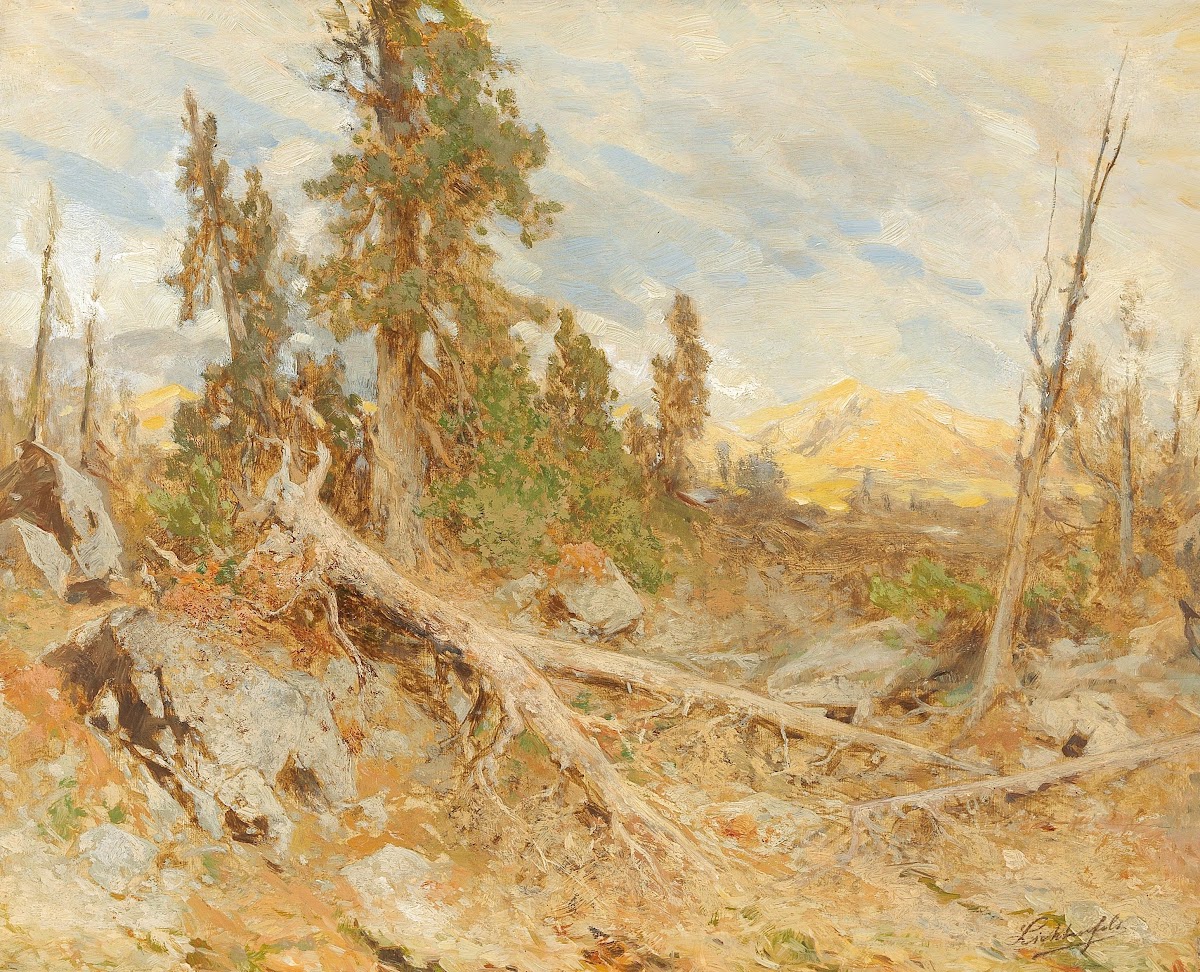 Windthrow