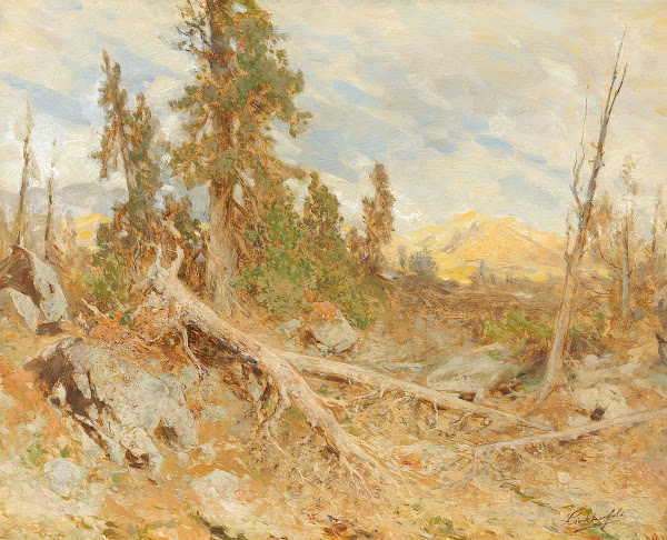 Windthrow