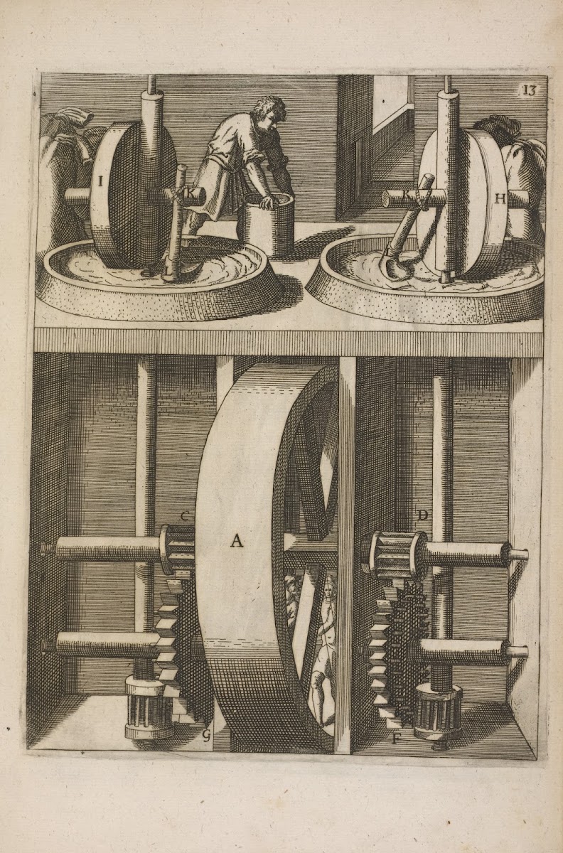 Fig XIII Pateomylos adoleum lino exprimendum 1662