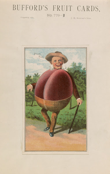 Buffords fruit cards no 779 3 plum 1887