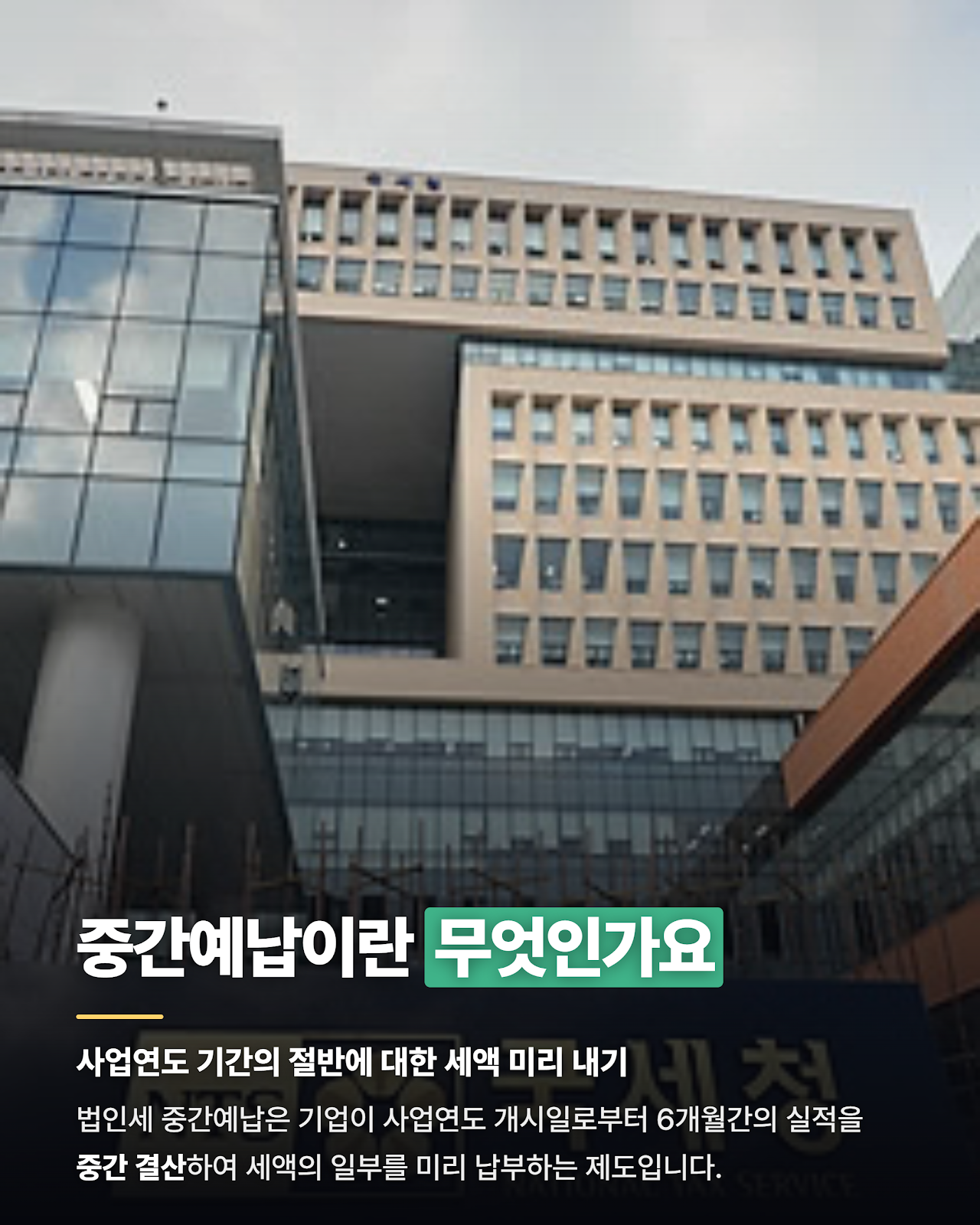 카드뉴스