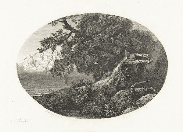 Ontwortelde boomstam aan de kust 1854 1856
