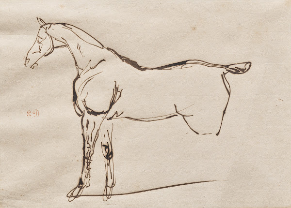 Study of a Horse c 1820 30