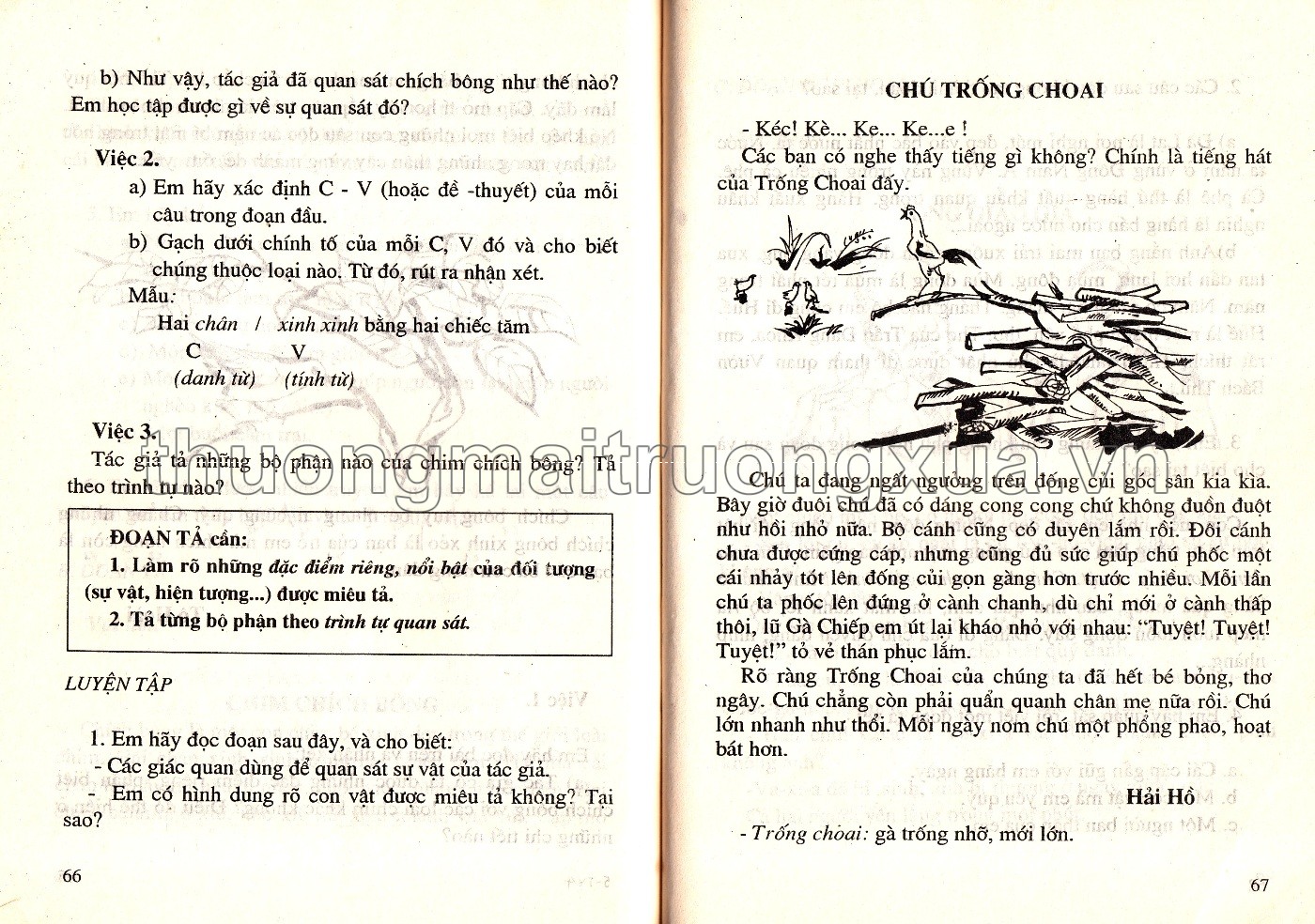 Tiếng Việt 4 (tập 1 - 1997) - Trang 38