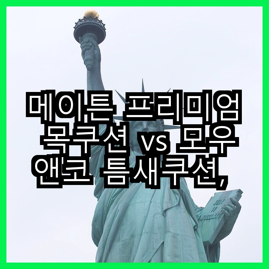 메이튼 프리미엄 목쿠션 vs 모우앤코 틈새쿠션, 어떤 편안함이 더 마음에 드나요? 썸네일
