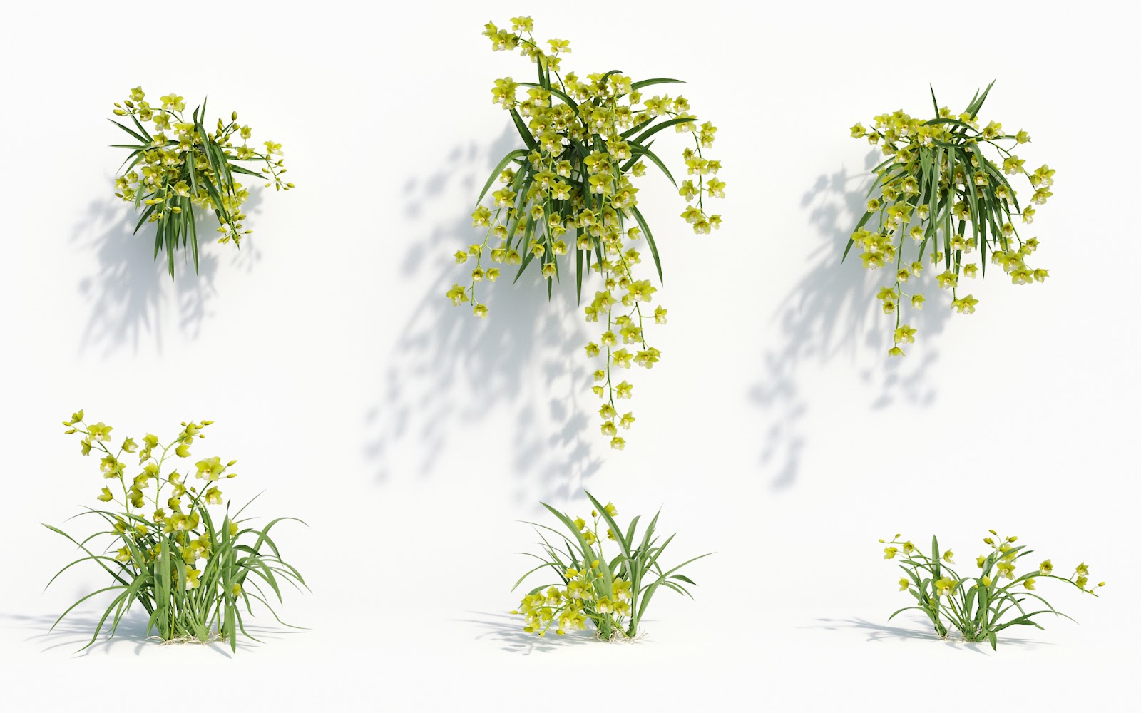 Maxtree - Plant Models Vol.8
