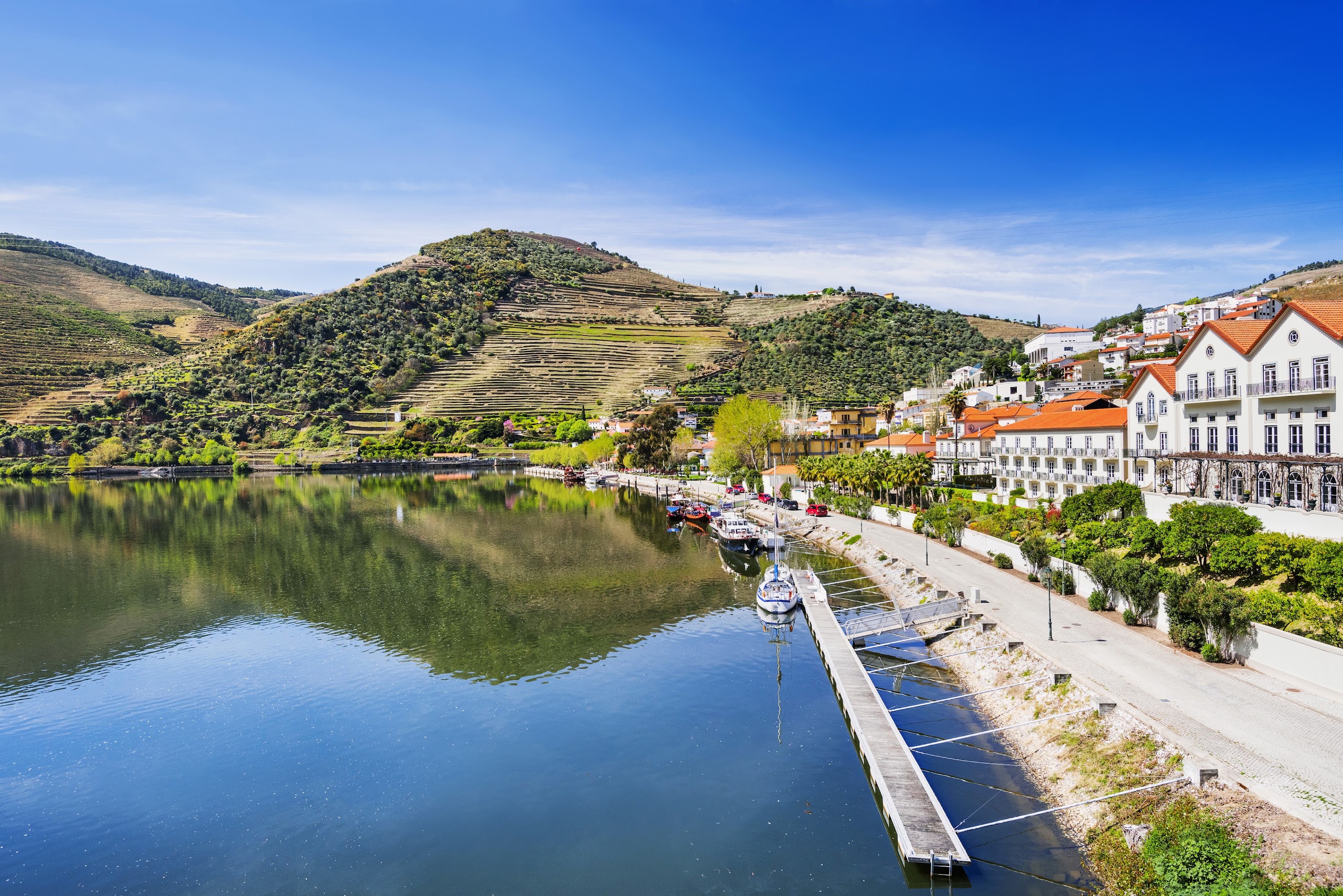 1-Day Douro Valley Group Journey: Roman Roots & Vineyards