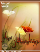 Meri Zindgani Hai Jawidaan by Q B Arain Download