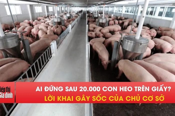 Bắt giữ chủ lò mổ xuất khống hơn 20.000 con heo cho Công ty C.P - Tạp chí Tiếp thị &amp; Gia đình
