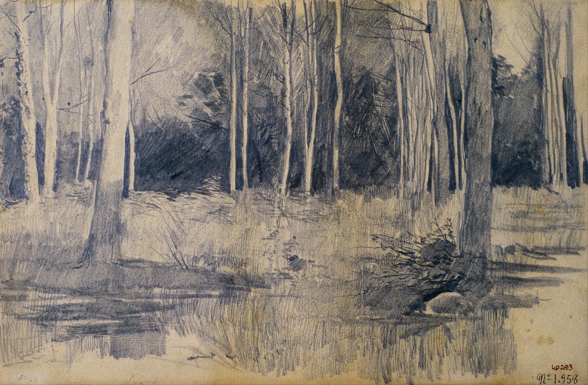 Grove 1880 1885