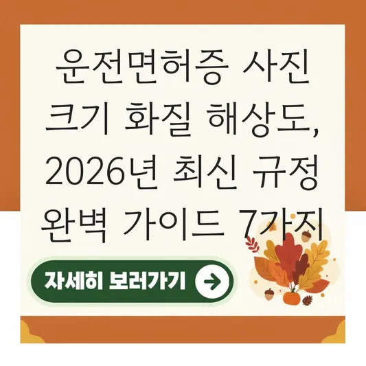 운전면허증 사진 크기 화질 해상도