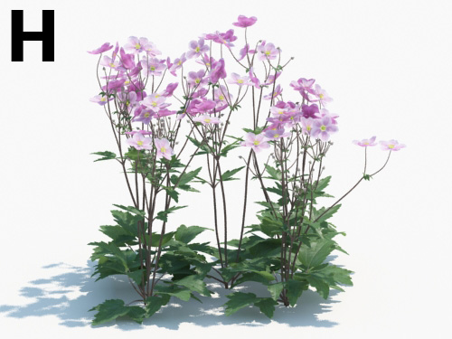 Maxtree - Plant Models Vol.3