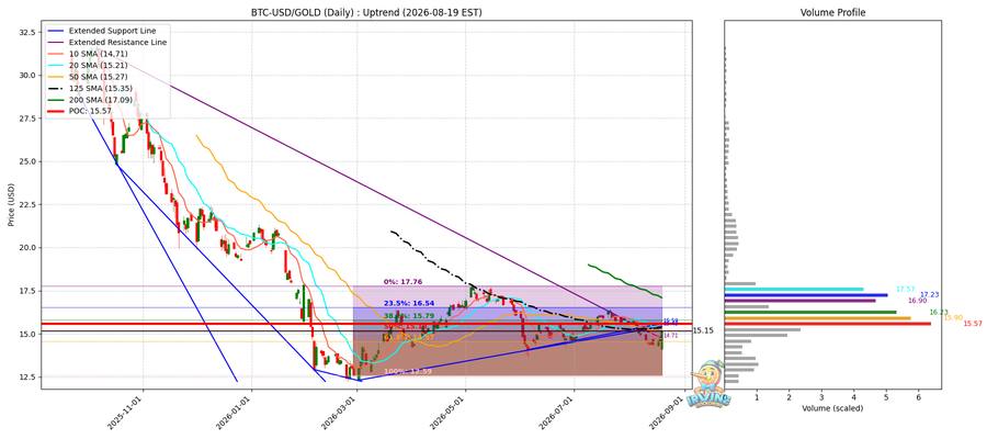BTC vs Gold 비교