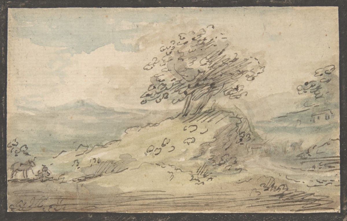 Landscape 17761808